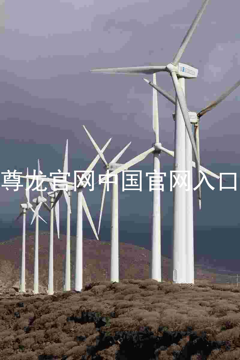尊龙官网中国官网入口