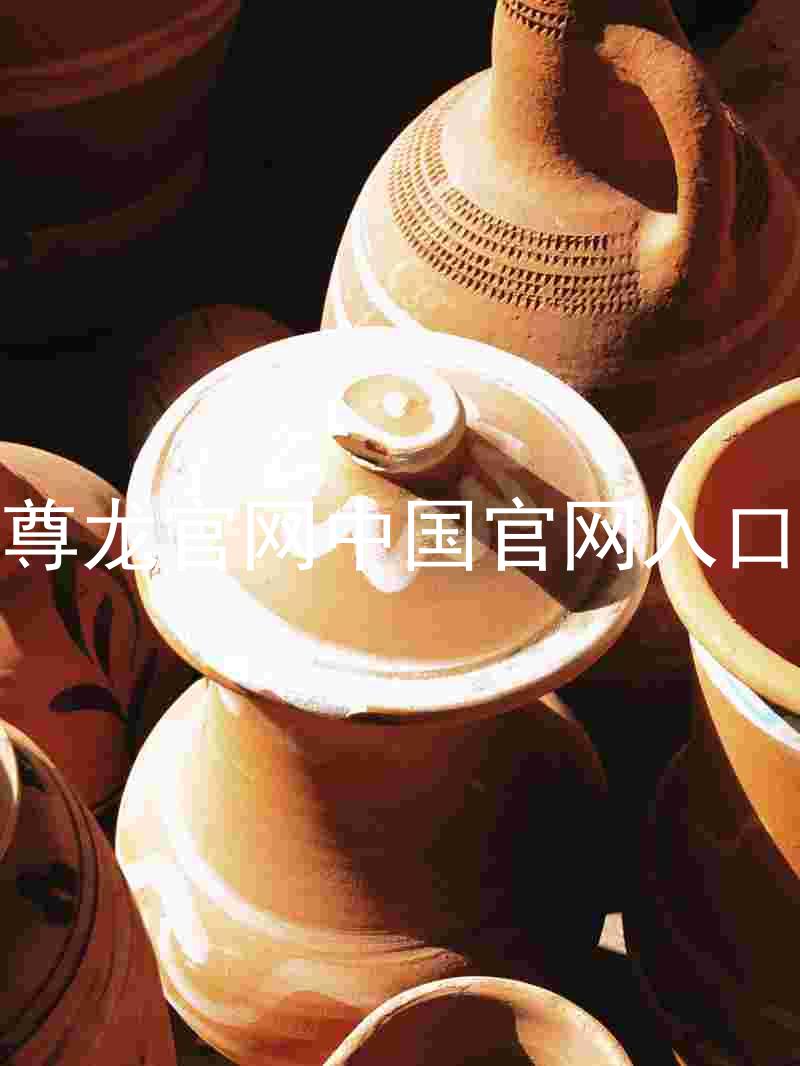 尊龙官网中国官网入口